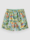 Patagonia Baggies Kids Kratasy