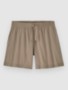 seabird grey