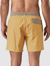 Patagonia Home Waters Volley - 16 In. Korte Broek