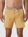 Patagonia Home Waters Volley - 16 In. Shorts