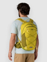 Patagonia Terravia 22L Batoh