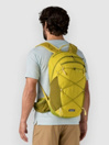 Patagonia Terravia 22L Mochila