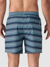 Patagonia Hydropeak Volley - 16 In. Shorts