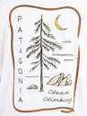 Patagonia Clean Climb Roots Responsibili T-Shirt