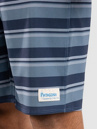 Patagonia Hydropeak - 21 In. Boardshorts