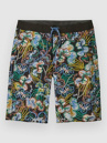 Patagonia Hydropeak - 21 In. Boardshorts