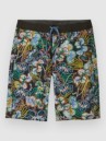Patagonia Hydropeak - 21 In. Boardshorts