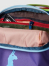 Cotopaxi Allpa 28L Travel Backpack