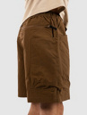 Vans MTE Trek Guide Shorts