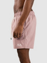 Oakley Clear Lake 16″Volley Boardshorts