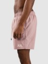 Oakley Clear Lake 16″Volley Boardshorts