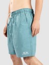 Oakley Clear Lake 18″Volley Boardshorts