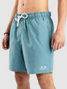 Oakley Clear Lake 18″Volley Boardshorts