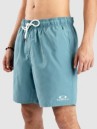 Oakley Clear Lake 18″Volley Boardshorts