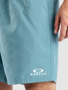 Oakley Clear Lake 18″Volley Boardshorts