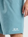 Oakley Clear Lake 18″Volley Boardshorts