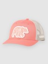 Columbia Snap Back Kids Keps