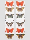 Stance Flutterby Crew Socken