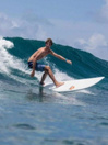Torq Epoxy Longboard Pinlines 9'0 Planche de surf