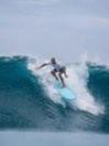 Torq Epoxy Longboard Pinlines 9'0 Planche de surf
