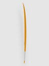 Torq Tec Summer Fish Rail 5'6 Deska za surfanje
