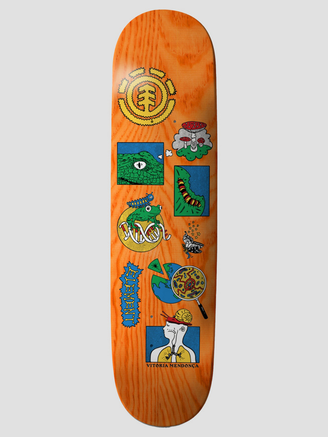 Element Knowledge Vitoria Mendonca 8.25″ Skateboard