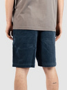Salty Crew Kahuna Cord 19 Shorts