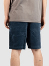 Salty Crew Kahuna Cord 19 Shorts