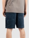 Salty Crew Kahuna Cord 19 Shorts