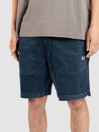 Salty Crew Kahuna Cord 19 Shorts