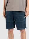 Salty Crew Kahuna Cord 19 Shorts