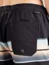 Salty Crew Sunup Volley Boardshorts