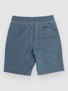 Salty Crew Seadog Volley Kids Boardshorts