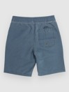 Salty Crew Seadog Volley Kids Short