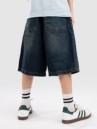 REELL Belmont Kids Shorts