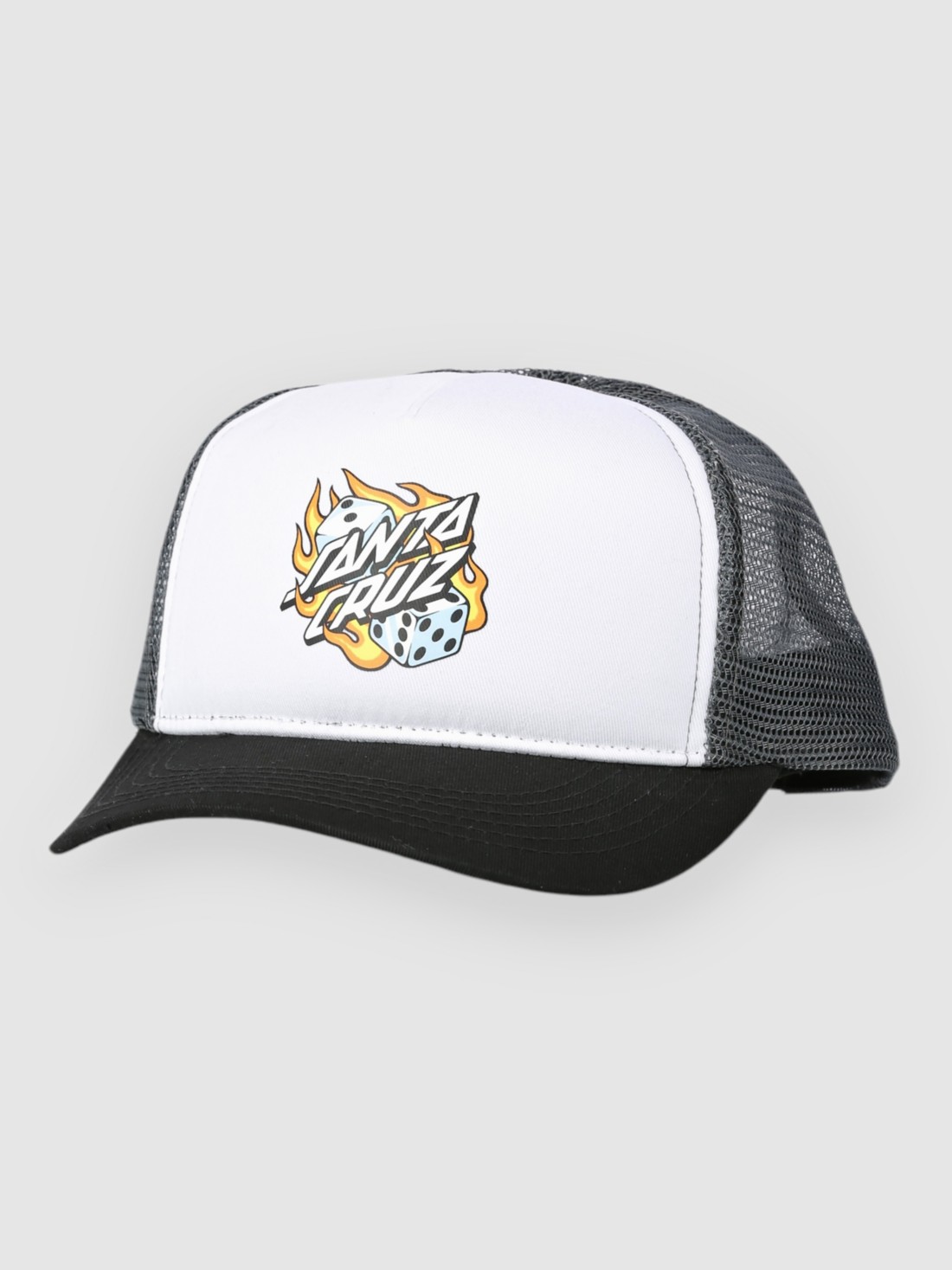 Santa Cruz Flaming Dice Dot Meshback Cap grey