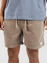 Katin USA Cord Local Shorts