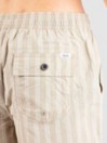 Katin USA Barley Volley Boardshorts