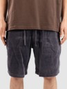 Anerkjendt Akjan Corduroy Shorts