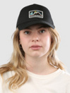 Passenger Made To Roam Mesh Snapback Cap
