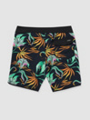 Volcom Infuse Scallop Mod 19 Boardshorts