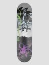 Poetic Collective Space 8.375″ Planche de skate