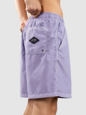 All Day Ovd Layback Boardshort