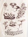 Dravus Magical Mushrooms Tricko