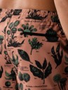 The Dudes Botanical Study Boardshorts