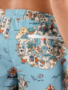 The Dudes Dudland Boardshorts