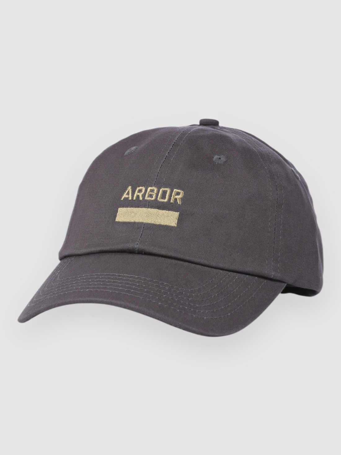 Arbor Surplus Cap faded black