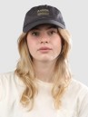Arbor Surplus Cap