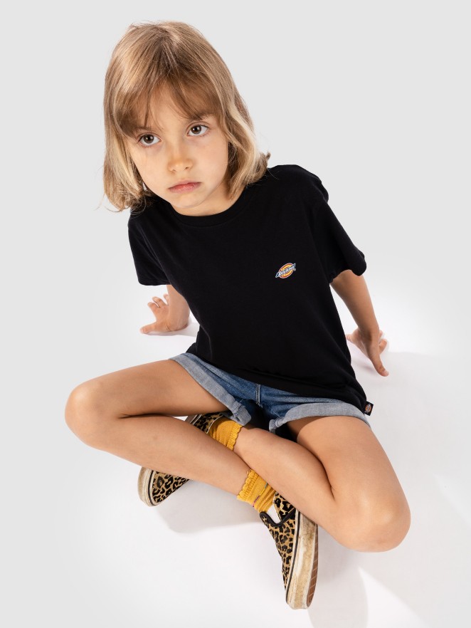 Dickies Mapleton T-Shirt
