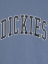 Dickies Aitkin Kids Camiseta